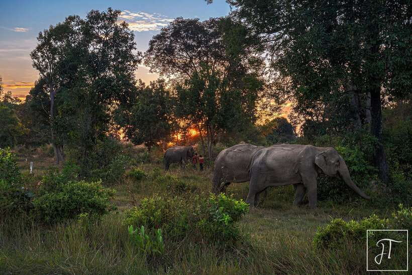 Siem Reap: Kulen Elephant Forest & Tonlesap Lake - Kompong Phluk on Tonle Sap: Stilt Houses, Floating Markets, and Wide Water Views