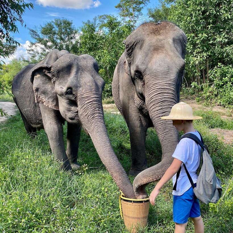 Siem Reap: Kulen Elephant Forest & Tonlesap Lake - Guides and Group Feel: When It Can Feel Almost Private