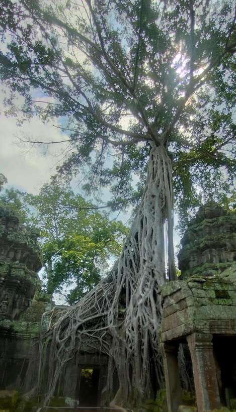 Siem Reap Private Tour: Angkor Wat Sunrise And Banteay Srei - Key things I’d plan around