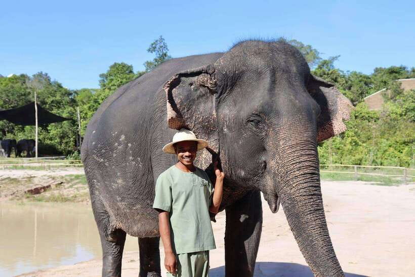 Siem Reap: Small Group Tour of Kulen Elephant Forest - The briefing: what your guide sets you up to notice