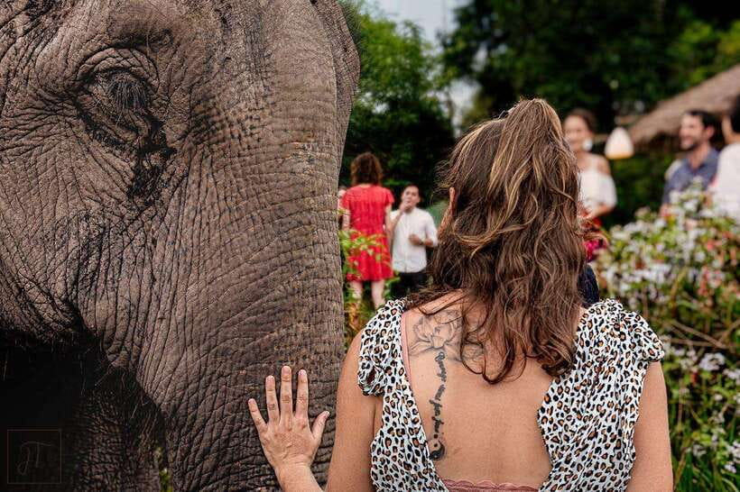 Siem Reap: Small Group Tour of Kulen Elephant Forest - Walking with the herd into the forest: the part that feels real