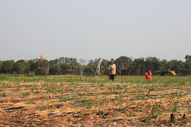 Silk Island & countryside of Phnom Penh by Tuk Tuk - Phsar Areyksat: a market start with real smells and everyday life