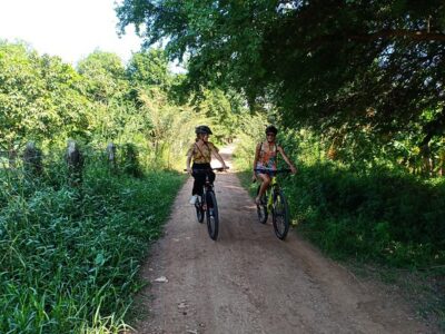 Silk Island Cycling Adventure & lunch with locals - Price and logistics: $45 for a half-day that’s not skimpy