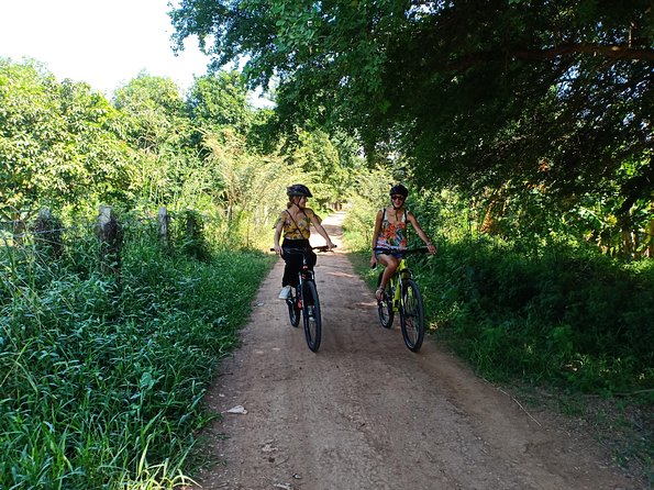 Silk Island Cycling Adventure & lunch with locals - Price and logistics: $45 for a half-day that’s not skimpy