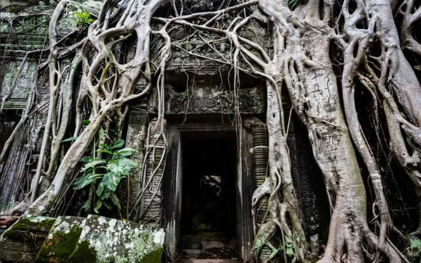 Sunrise at Angkor Wat and Small Tour with Tours Guide - South Gate of Angkor Thom to Bayon: the 216 faces moment