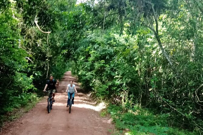 Sunset or sunrise bicycle tour around Angkor Wat and nearby temples - Sunrise vs. sunset: how timing changes the whole experience
