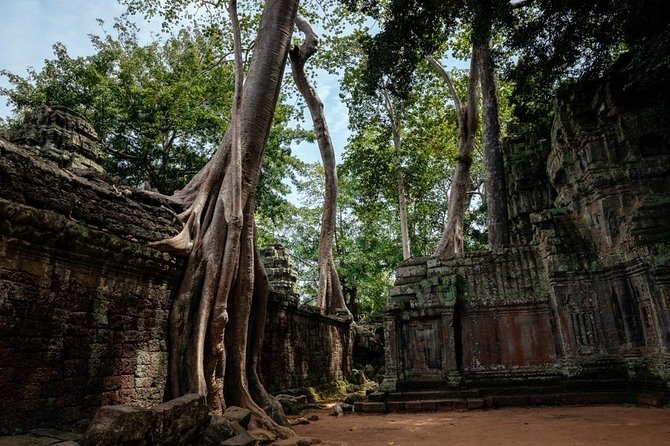 The Ultimate Angkor Wat Temple Private Day Trip - The guide experience: Long and Leap are a big part of the value